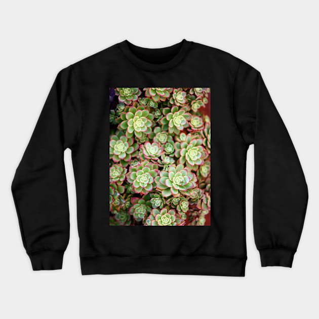 Succulents of Marina Del Rey Crewneck Sweatshirt by TBM77